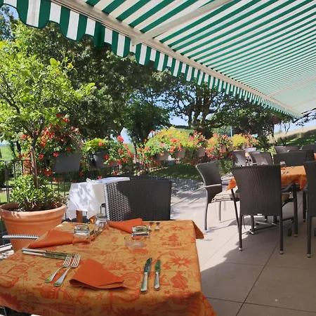 Hotell Restaurant Logis Sundgovienne Carspach