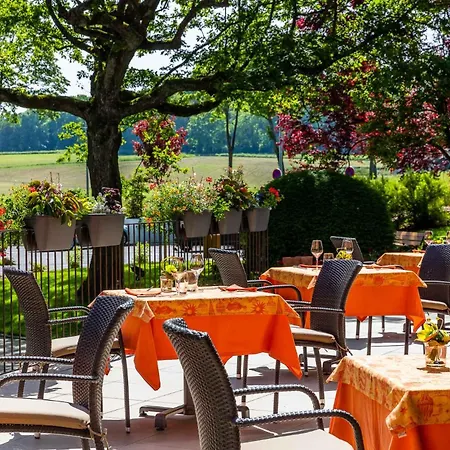 Hotel Restaurant Logis Sundgovienne Carspach