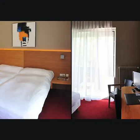 Hotel Restaurant Logis Sundgovienne 3*