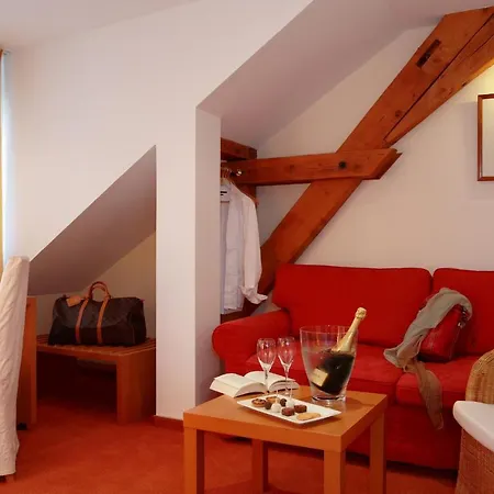 Hotel Sundgovienne Carspach