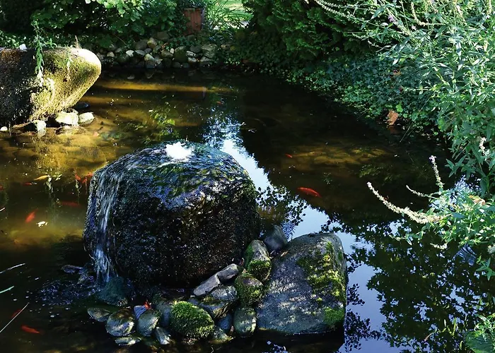 Restaurant Logis Sundgovienne Hotel