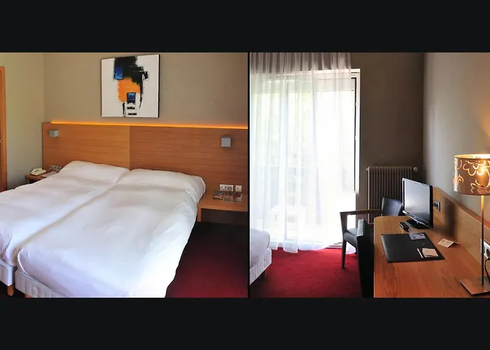 Hotel Restaurant Logis Sundgovienne 3*