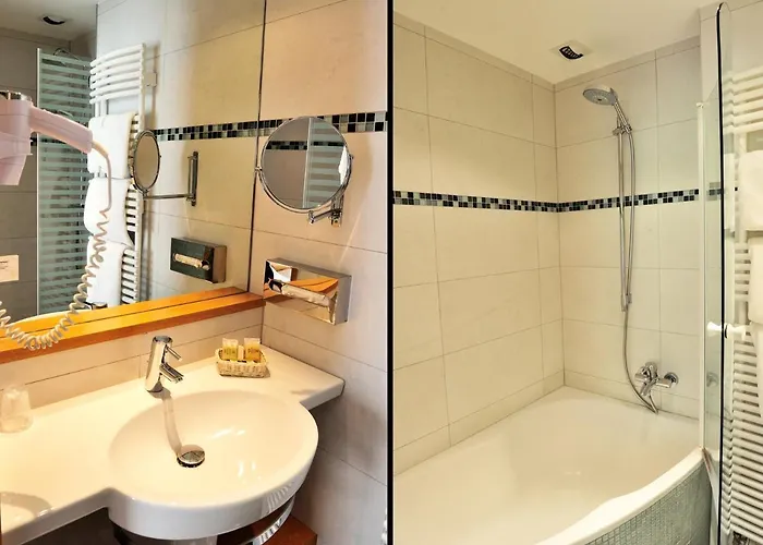 Restaurant Logis Sundgovienne Hotel